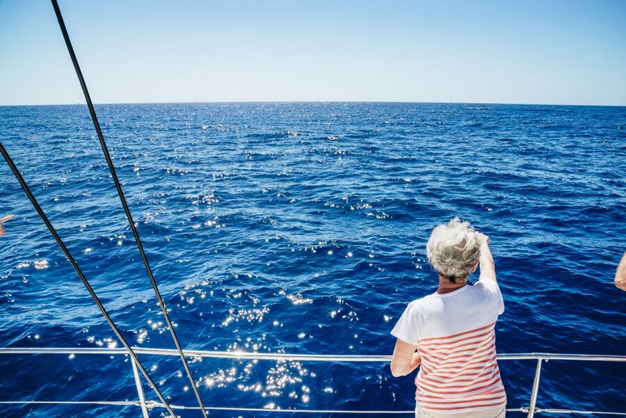 Funchal: Dolphin and Whale Watching by Luxury Catamaran - Searching for dolphins and whales off Madeira