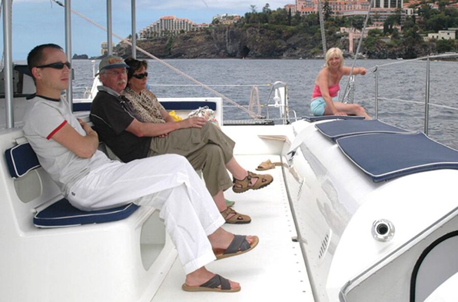 Funchal: Dolphin and Whale Watching Catamaran Cruise - Searching Madeira’s waters for dolphins and whales