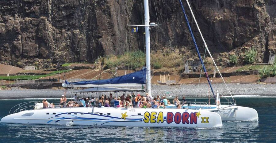 Funchal: Dolphin and Whale Watching Catamaran Cruise - A comfortable catamaran, with a few choices to make