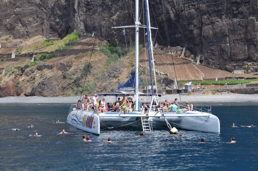 Funchal: Dolphin and Whale Watching Catamaran Cruise - How much value do you get for $41?