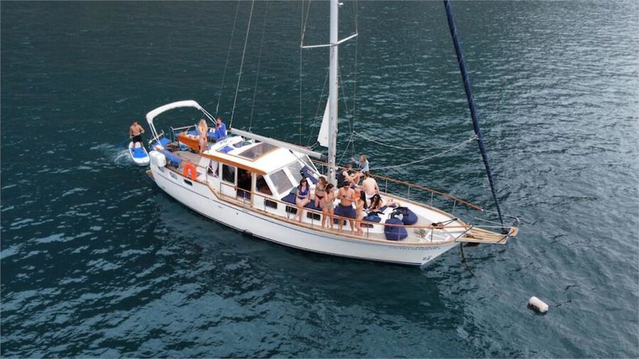 Funchal: Dolphin and Whale Watching Sailing Trip - Key points to know before booking