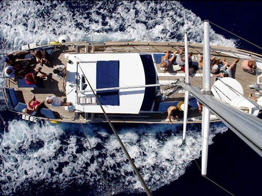 Funchal: Dolphin and Whale Watching Sailing Trip - FAQ