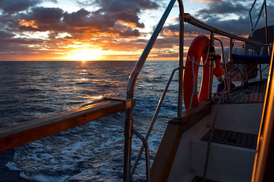 Funchal: Sunset Sailing Tour - Wildlife watching without a promise