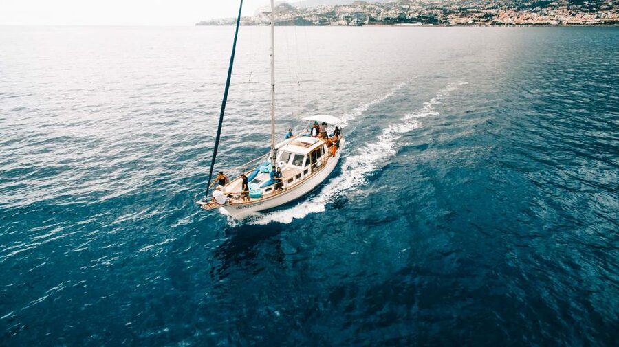 Funchal: Sunset Sailing Tour - Booking details worth keeping in mind