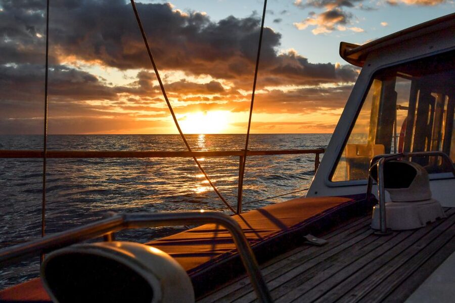 Funchal: Sunset Sailing Tour - Watching Madeira from the Atlantic