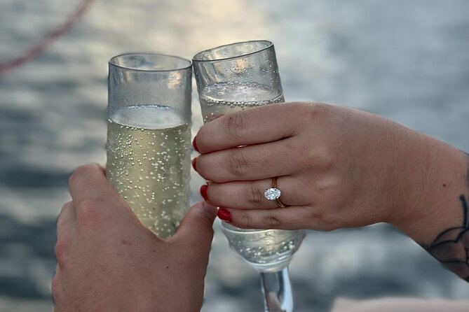 Gold Coast 2 hour Sunset Sailing Cruise with Drinks&Tasting Plate - Wildlife sightings are a bonus, not a promise