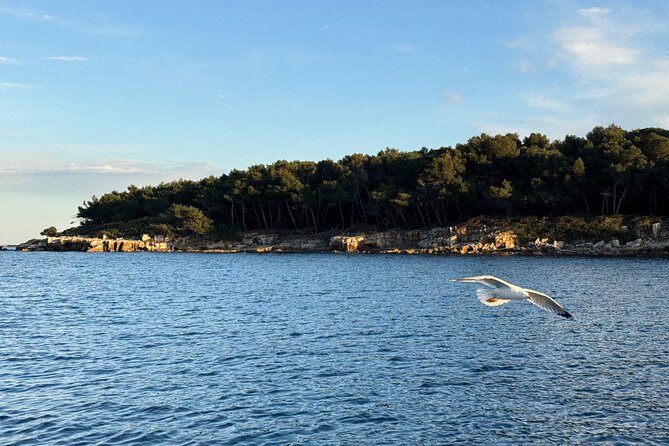Golf Juan: Sunset Sailing Cruise with aperitif at the Island - Sainte-Marguerite Island, swimming, and snorkeling