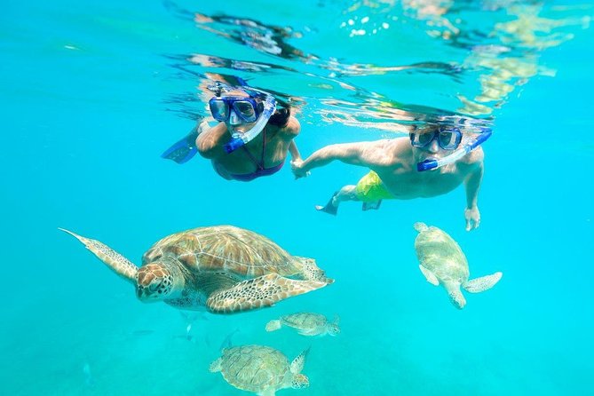 Good Times Exclusive Catamaran Cruise - A private Barbados cruise built around your group