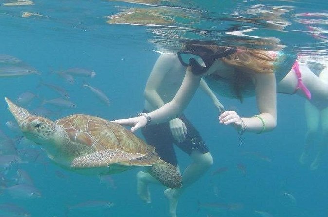 Good Times Too Premium Catamaran Lunch Cruise - Who will enjoy Good Times Too most