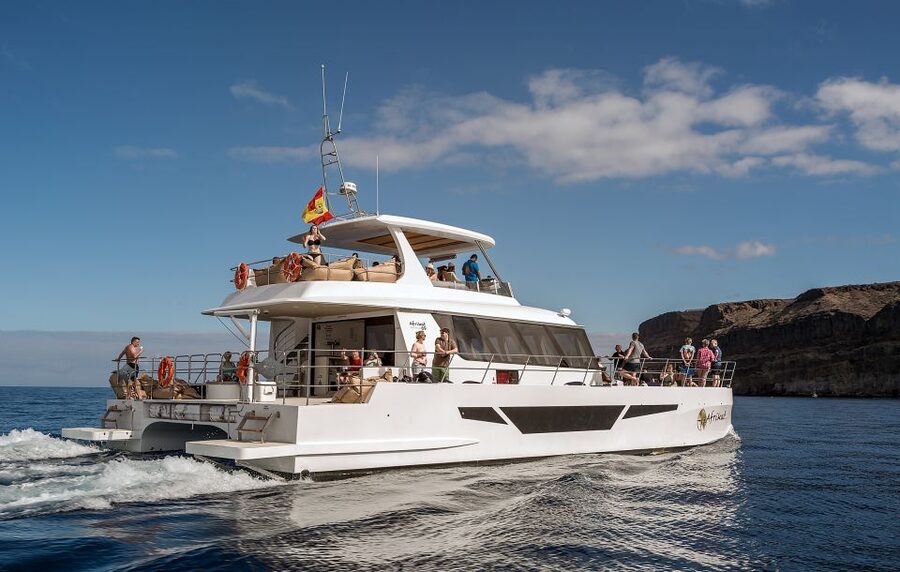 Gran Canaria: Afternoon Catamaran Cruise with Food & Drink - Music, crew, and the mood on board