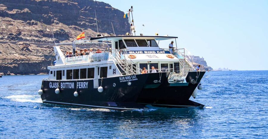 Gran Canaria: Catamaran Dolphin Watch Cruise with Snorkeling - Key points before you book