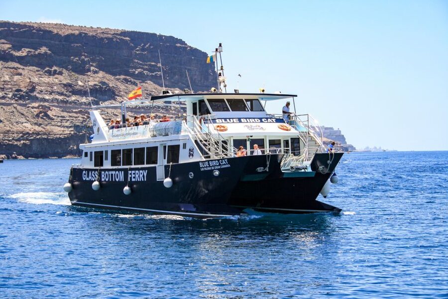 Gran Canaria: Catamaran Dolphin Watch Cruise with Snorkeling - Setting sail from Puerto Base in Puerto Rico