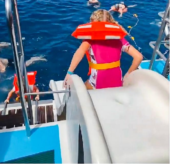 Gran Canaria: Catamaran Dolphin Watch Cruise with Snorkeling - Wildlife viewing that rewards patience