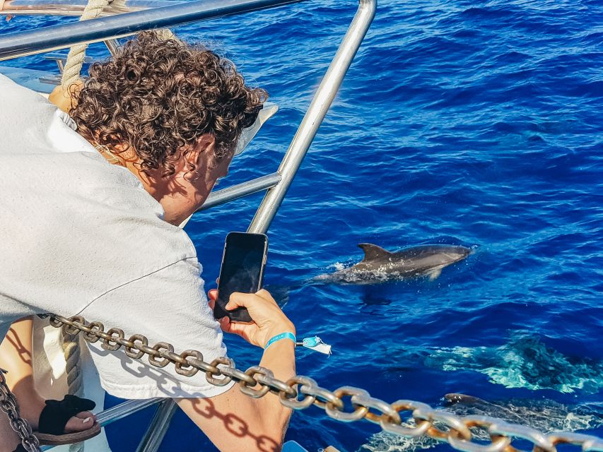 Gran Canaria: Catamaran Dolphin Watch Cruise with Snorkeling - Drinks, masks, and what is really included