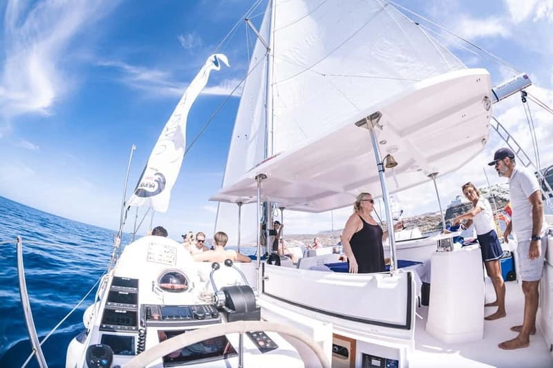 Gran Canaria: Catamaran Tour with Lunch on Pristine Beaches - Who will enjoy this Mogán catamaran trip