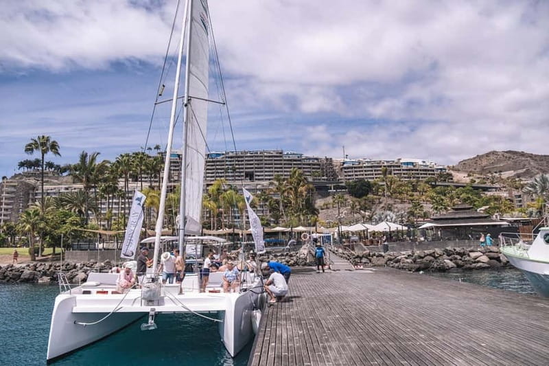 Gran Canaria: Catamaran Tour with Lunch on Pristine Beaches - The first swim near Playa de Veneguera
