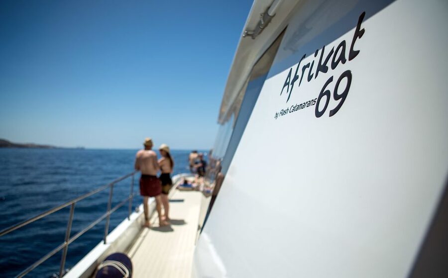 Gran Canaria: Fun Catamaran Cruise with Food and Drinks - How crowded is the Afrikat boat?