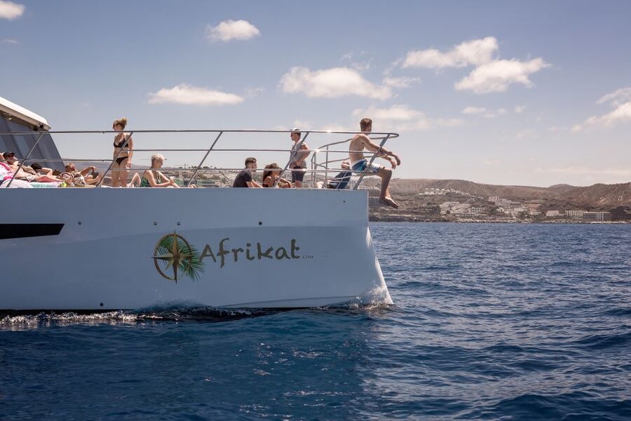 Gran Canaria: Fun Catamaran Cruise with Food and Drinks - Is $88 good value?