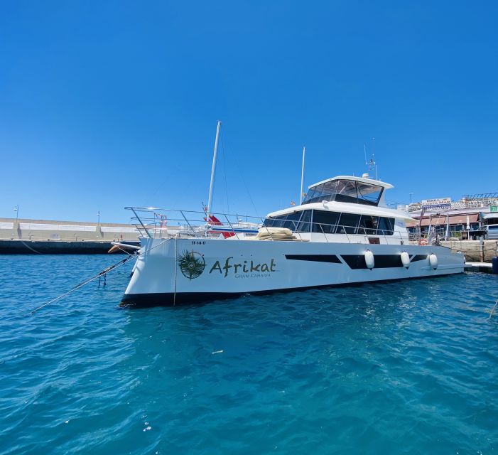 Gran Canaria: Fun Catamaran Cruise with Food and Drinks - Who will enjoy this Gran Canaria cruise?