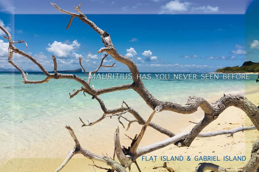 Grand Baie: Catamaran 3 Islands Cruise & Lunch on the Island - Snorkeling, swimming, and the limits of the reef