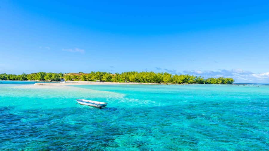 Grand Bay: Catamaran Cruise to Flat Island with BBQ Lunch - Key points to know before booking