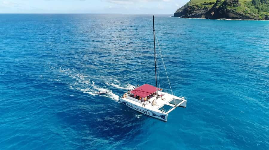 Grand Bay: Catamaran Cruise to Flat Island with BBQ Lunch - BBQ lunch and drinks on the island