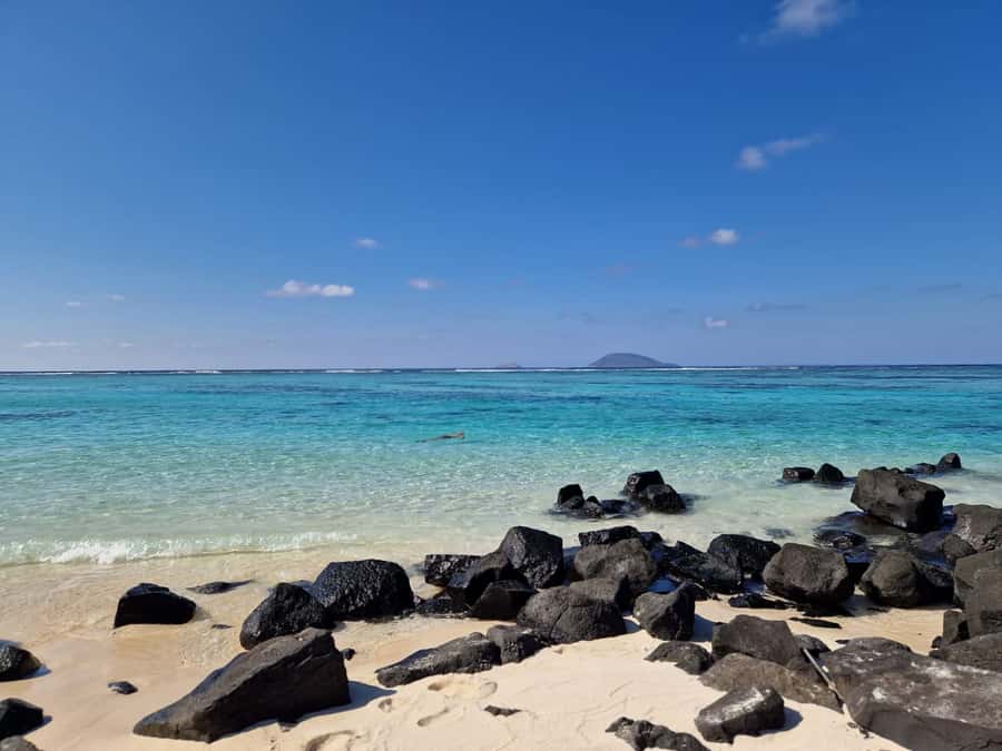 Grand Bay: Catamaran Cruise to Flat Island with BBQ Lunch - Who should book this cruise?