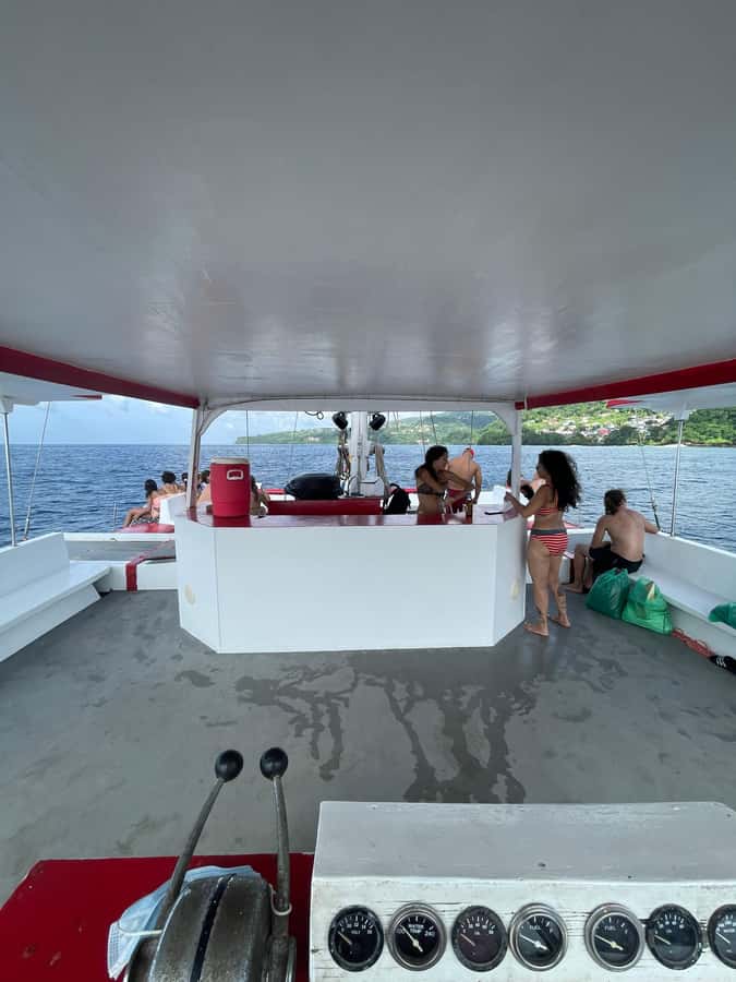 Grenada: Sailing and Snorkeling To the Underwater Sculpture - The underwater sculpture park, the reason to book