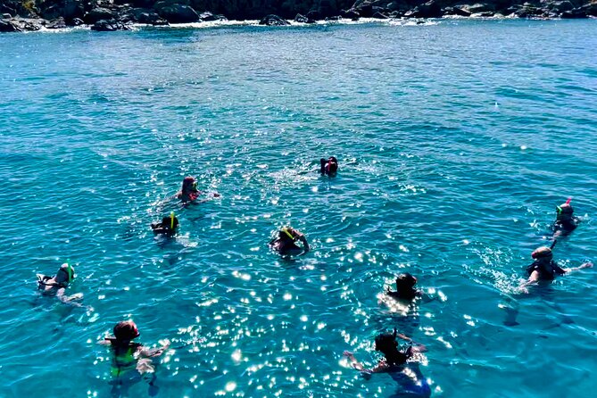 Half Day Luxury Catamaran Turtle Snorkel And Beach - A small catamaran makes a big difference