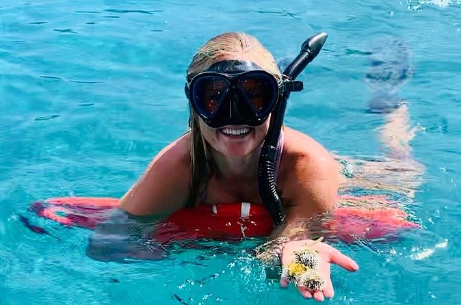 Half Day Luxury Catamaran Turtle Snorkel And Beach - The boat break after snorkeling