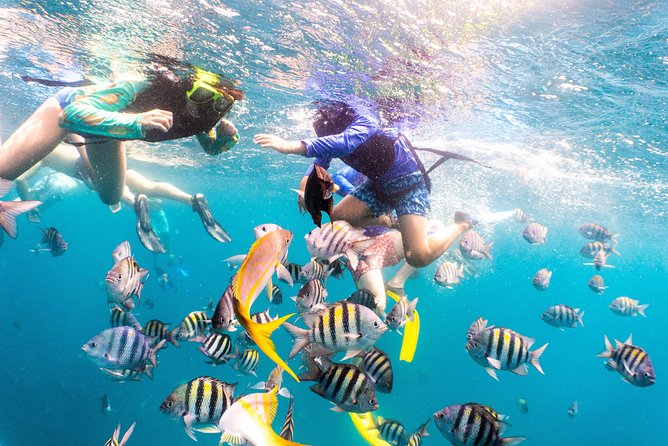 Half-Day Snorkel Sail Tour with Caribbean Lunch - Lunch, snacks, and an open bar turn it into a social sail