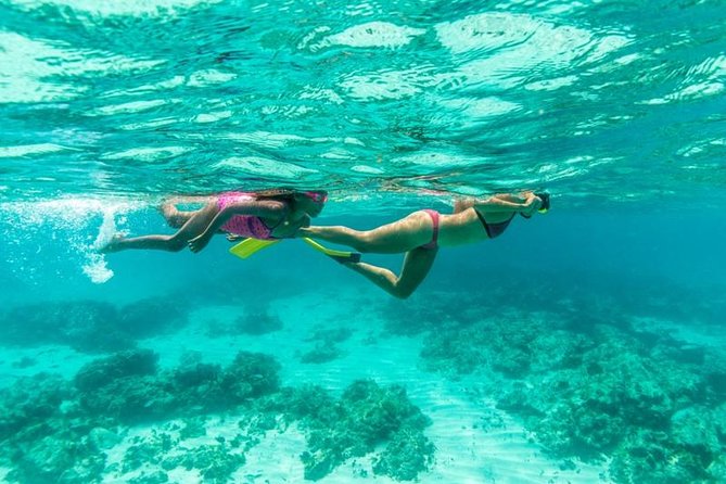 Half-Day Snorkel Sail Tour with Caribbean Lunch - Catalina Bay gives beginners an easy first stop
