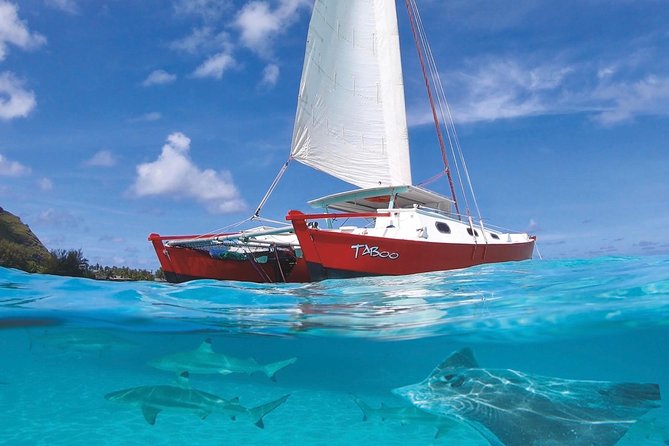 Half Day Tour : Moorea Snorkeling & Sailing on a Catamaran named Taboo - Key points about the Taboo catamaran