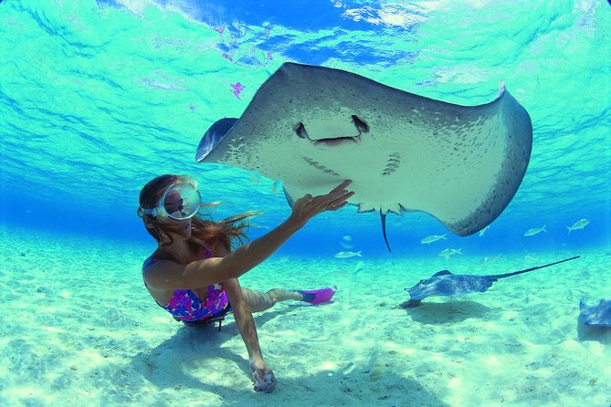 Half Day Tour : Moorea Snorkeling & Sailing on a Catamaran named Taboo - Price, transfers, and what you receive