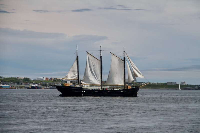 Halifax: Tall Ship Harbor Sailing Cruise with Live Music - What sailing the Silva feels like