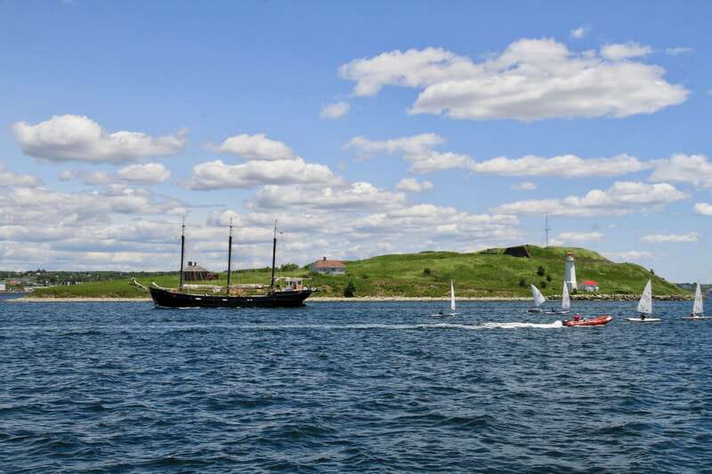 Halifax: Tall Ship Harbor Sailing Cruise with Live Music - Should you book the Tall Ship Silva?
