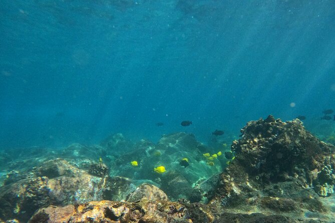 Hawaiian Sail and Snorkel in Kailua-Kona, Hawaii - A Full Hour in the Water