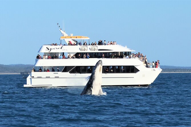 Hervey Bay Champagne Sunset Sail - Crew service and the feel on board