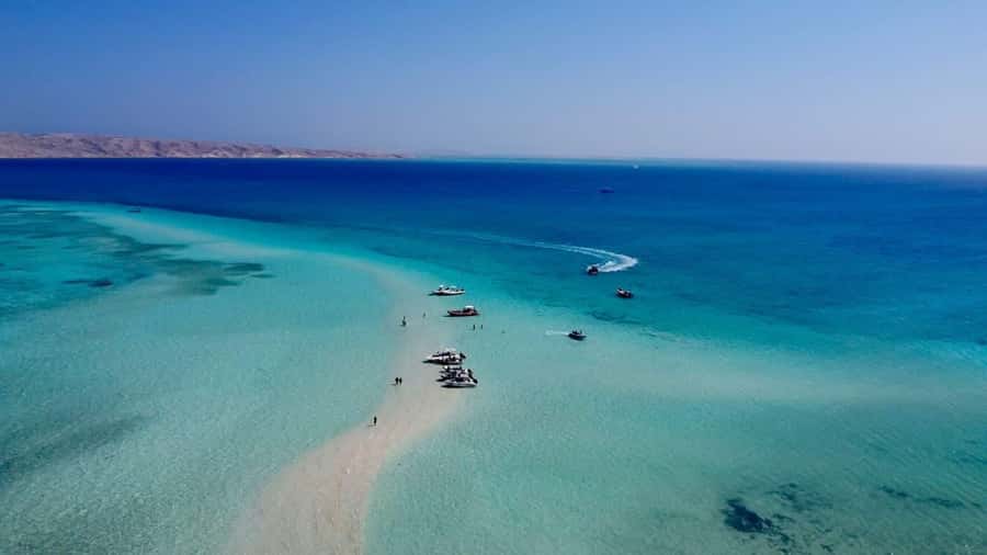 Hurghada: Elegance Yacht Cruise To Orange & Magawish island - Lunch with shrimp, calamari, and fish