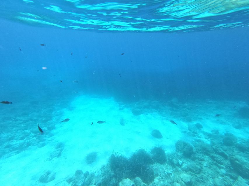 Hvar: Private Sailing Boat Trip with Swimming and Snorkeling - FAQ