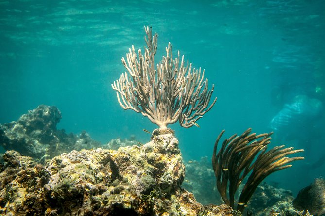 Icacos Deserted Island Catamaran, Snorkel, and Picnic Cruise - A build-your-own lunch on board