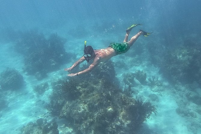 Icacos Deserted Island Catamaran, Snorkel, and Picnic Cruise - Who should book this Icacos cruise?