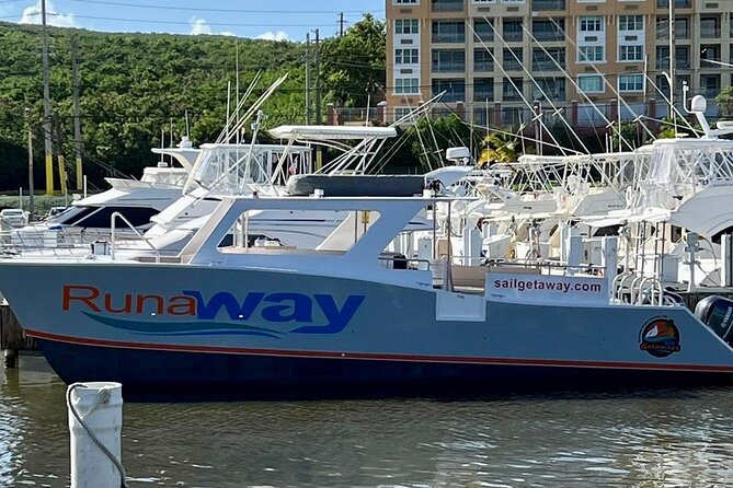 Icacos Double Dip Power Catamaran Snorkel & Beach Tour - Who will enjoy this tour most