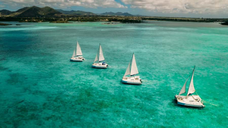 Ile Aux Cerfs: Catamaran Cruise, island, waterfalls, Lunch - The crew and languages