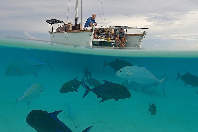 Introduction to sailing and discovering the lagoon - Why the group size changes the experience
