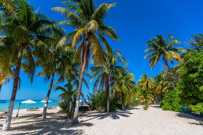 Isla Mujeres Catamaran, Open Bar & Optional Buffet and pick up - Lunch and the beach-club stop