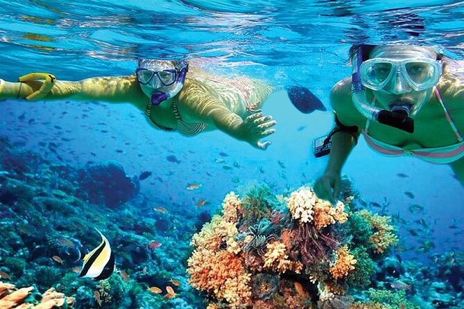 Isla Mujeres Catamaran, Open Bar & Optional Buffet and pick up - Two and a half hours on Isla Mujeres