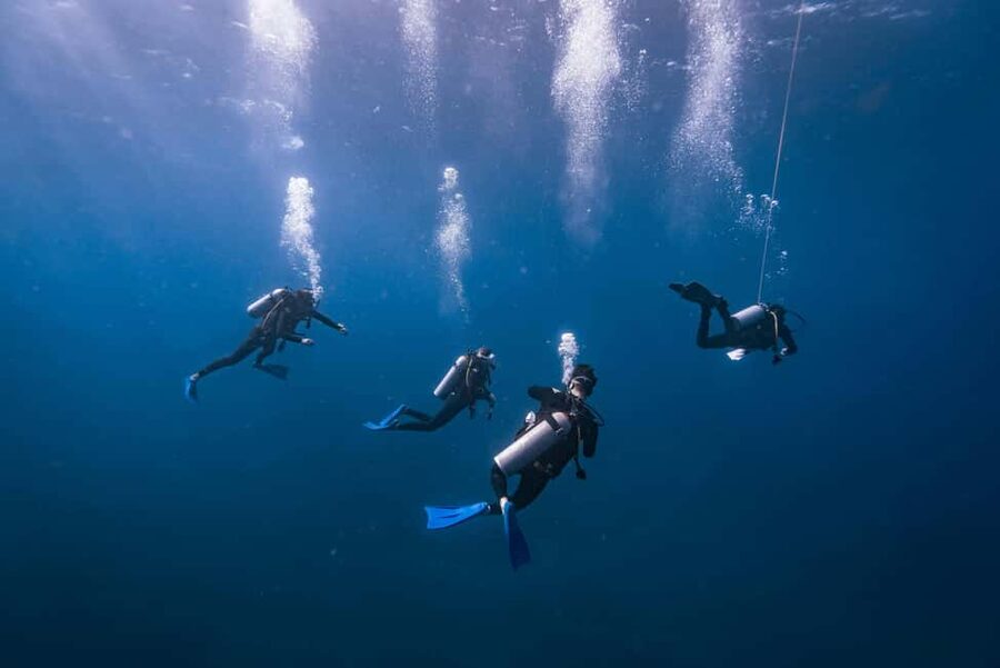 Isla Mujeres: Catamaran Ride with Open Bar, Snorkeling, and Lunch - Playa Norte and the beach-club break