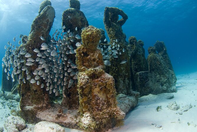 Isla Mujeres Catamaran Tour with Snorkeling at MUSA, Buffet Lunch & Open Bar - Practical advice for a smoother day