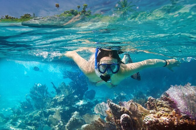 Isla Mujeres Catamaran Tour with Snorkeling, Open Bar & Buffet - My call: a useful all-in-one island day